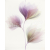 Cersanit LORIS White Inserto Flower 40X50x0,8 cm obklad-dekor, WD398-005,1.tr.