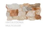 Pamesa CALEDONIA Multicolor 25x50 interérový obklad verná imitácia kameňa