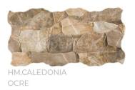 Pamesa CALEDONIA Ocre 25x50 interérový obklad verná imitácia kameňa