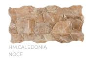 Pamesa CALEDONIA Noce 25x50 interérový obklad verná imitácia kameňa