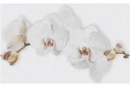 Cersanit MARISOL White Flower 25x40 obklad-dekor lesklý WD956-008, 1.tr