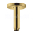 Hansgrohe 27393990 Sprchové rameno S, prívod od stropu 100 mm, leštený vzhľad zlata
