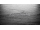 SWISS KRONO Kronopol Aurum MOVIE AQUA Hollywood Oak, laminátová podlaha 8mm, 4V, 3D