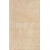 Zalakeramia ALBUS, obklad 40x25 cm, béžova, ZBD 42045 1.trieda