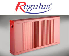 radiatory regulus