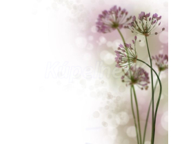 JAP Grafosklo motív Flowers 044