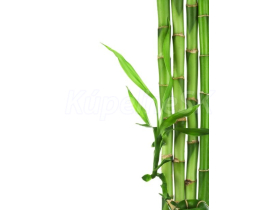 JAP Grafosklo motív 76986709