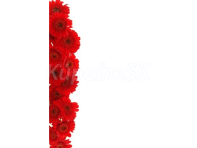 JAP Grafosklo motív 88862716