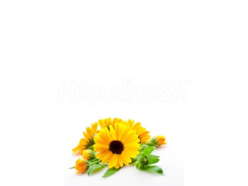 JAP Grafosklo motív 88383541