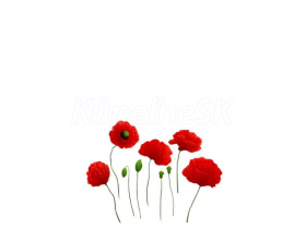 JAP Grafosklo motív 96298220