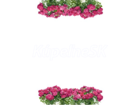 JAP Grafosklo motív 81364069