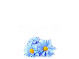 JAP Grafosklo motív 74680981