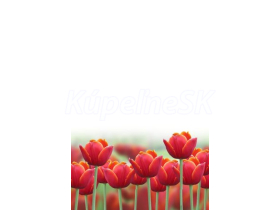 JAP Grafosklo motív 79453714