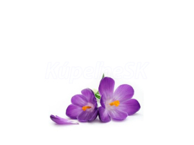 JAP Grafosklo motív 23298433