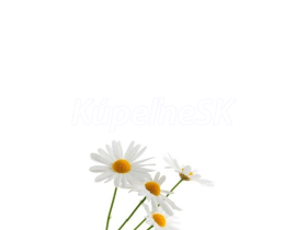JAP Grafosklo motív 15558490