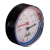HERZ Termomanometer, teleso z kujnej mosadze, PN 4, DN 15, teplotný rozsah: +20 - +120°C,