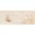 Zalakeramia AZALI FARFALLE F-5304 dekor 50x20x1 cm 1.trieda
