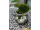 JAPE Kvetináč č.1 malý 30x35cm, betón-imitácia dreva