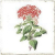 Fabresa FORLI Flowers Decor Mix 20X20