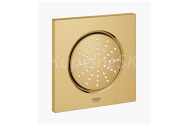 GROHE 27251GN0 RAINSHOWER F 5