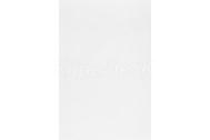 Zalakeramia CARNEVAL obklad 20X30x0,7cm, ZBR 301, biely lesklý,  1.trieda