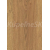 Egger EPL156 Pro Laminate 32 CLASSIC Dub Asgil medový lam. podlaha 8 mm CLICit