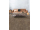 Egger EPL195 Pro Laminate 32 KINGSIZE Dub Maribor sivý lam. podlaha 8 mm 4V CLICit