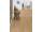 Egger EPL115 Pro Laminate 32 MEDIUM Dub Starwell prírodný lam. podlaha 10 mm 4V CLICit