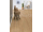 Egger EPL115 Pro Laminate 32 MEDIUM Dub Starwell prírodný lam. podlaha 10 mm 4V CLICit