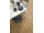 Egger EPL208 Pro Laminate 32 CLASSIC AQ+ Dub Nord prírodný lam. podlaha 8 mm 4V CLICit