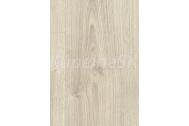 Egger EBL046 Basic Laminate 31 CLASSIC Dub Wilson biely laminátová podlaha 7mm 4V CLICit