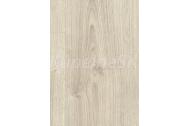 Egger EBL046 Basic Laminate 31 CLASSIC Dub Wilson biely laminátová podlaha 7mm 4V CLICit