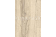 Egger EBL008 Basic Laminate 31 CLASSIC Dub Alberta polar laminátová podlaha 8mm CLICit