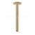 Hansgrohe 27389140 Sprchové rameno S, prívod od stropu 300 mm, kefovaný bronz