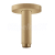 Hansgrohe 27393140 Sprchové rameno S, prívod od stropu 100 mm, kartáčovaný bronz