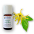 Arttec Ylang-ylang bio (Cananga odorata Totum), Ylang - ylang