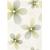 Cersanit VENEZIA GREEN INSERTO 25X35x0,85 cm, obklad-dekor WD268-006,1.tr.