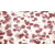 Cersanit DIANTUS BURGUNDY INSERTO FLOWER 25X40, obklad-dekor WD297-005,1.tr.