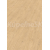 Egger EL1002 Pro Laminate 31 CLASSIC Dub Berdal svetlohnedý laminát podlaha 7 mm 4V CLICit