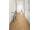 Egger EL1005 Pro Laminate 32 CLASSIC Dub Predaia medový lamin. podlaha 8 mm 4V CLICit