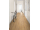 Egger EL1005 Pro Laminate 32 CLASSIC Dub Predaia medový lamin. podlaha 8 mm 4V CLICit