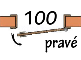 100 Pravé