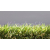 Lano umelý trávnik Star Lawn Botanic výška 37mm šírka 2m Zelená