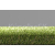Lano umelý trávnik Star Lawn Daisy výška 40mm šírka 2m Zelená