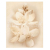 Cersanit Diana Flower obklad-dekor 50x40x0,8 cm lesklý