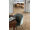 Egger EL203F NatureSense Kingsize Dub Rillington Tmavý laminátová podlaha 8 mm CLICit