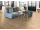 Egger EL2431 NatureSense Aqua Medium Dub Bayford Svetlý laminát podlaha 8 mm 4V CLICit