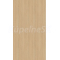 DTD dvierka - farba Dub Vicenza (H3157 ST12)