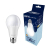 Žiarovka LED-POL AMM-E27-A60-14W-CW