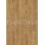 Egger EPL156 Pro Laminate 33 CLASSIC Dub Asgil medový laminátova podlaha 8 mm CLICit